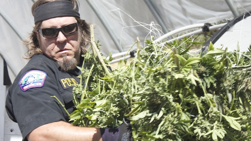 POT COPS Discovery 660.jpg